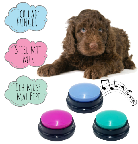 Hunde Buzzer in verschiedenen Farben